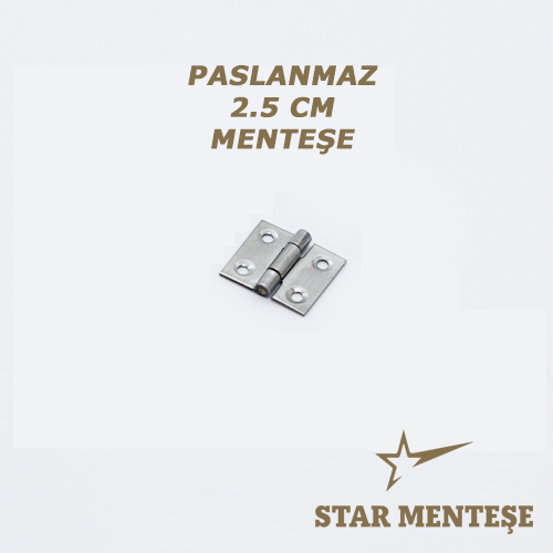  Paslanmaz 2.5 cm Menteşe